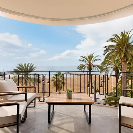 Group Ocean سيدجيس